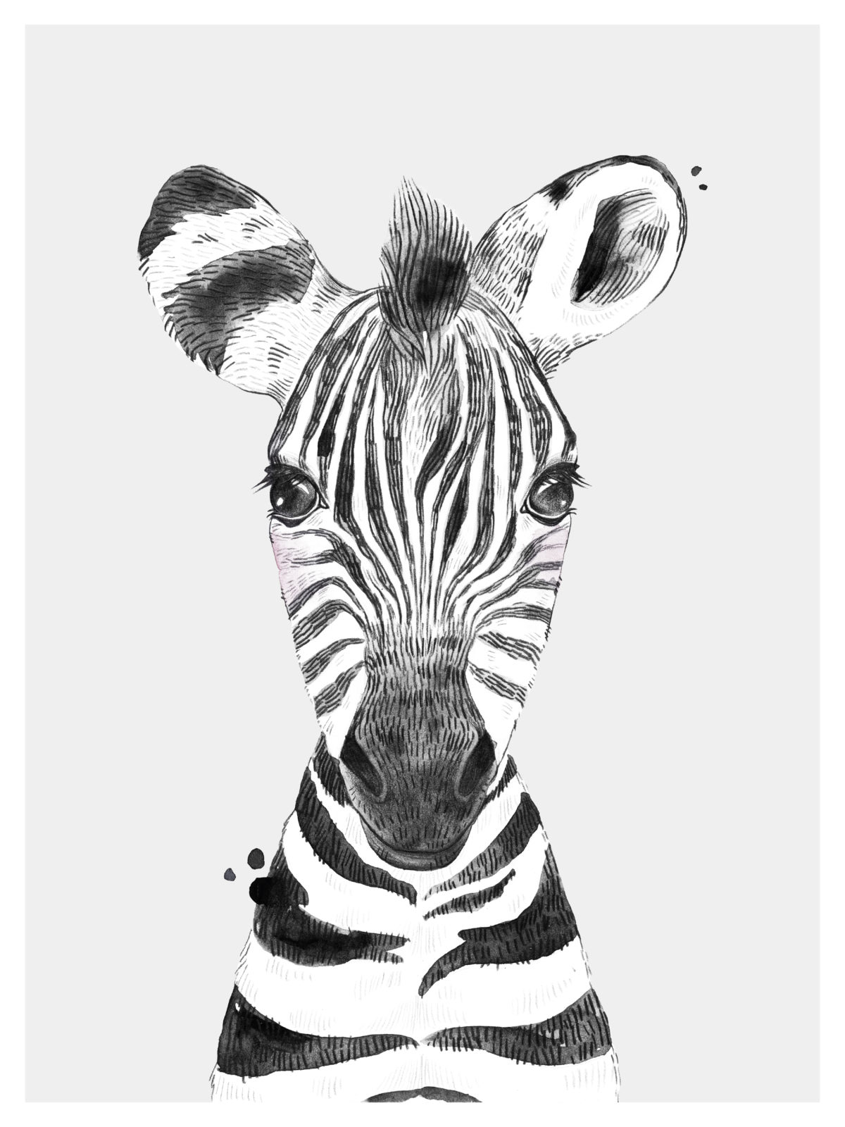rekken Ontwikkelen Laan Poster zebra, safari dieren verschillende formaten posters | imints